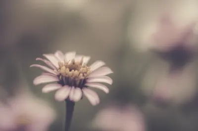 Illustration blurs - Image 1