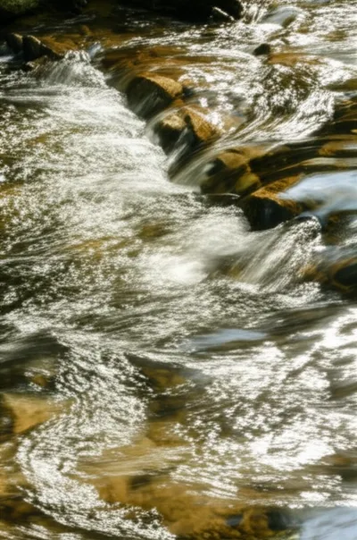 Illustration riffles - Image 1