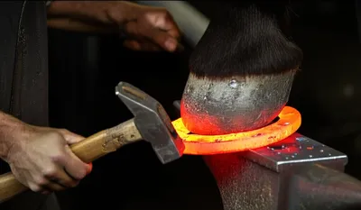 Illustration firmed - Image 1