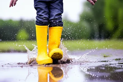 Illustration galosh - Image 1