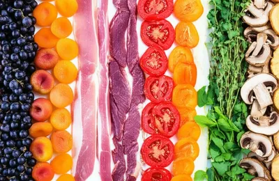 Illustration dried - Image 1