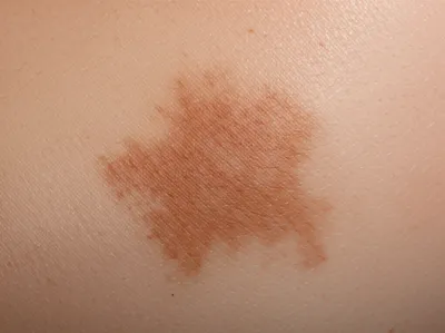 Illustration moth - Image 1