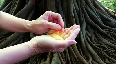 Illustration vests - Image 1