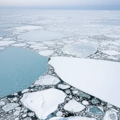 Illustration agglomerate - Image 1