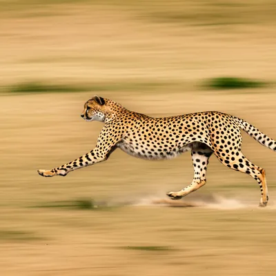 Illustration make - Image 1