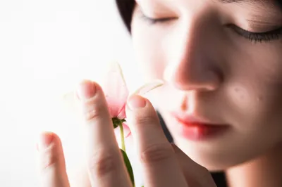 Illustration sensible - Image 1