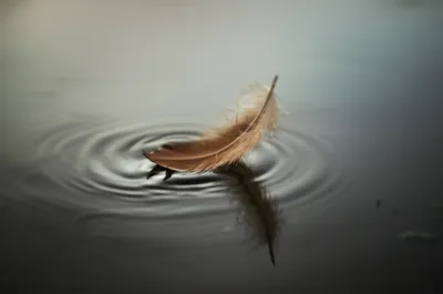 Illustration lip - Image 1