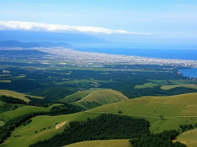 Illustration territories