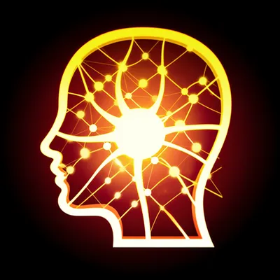 Illustration brains - Image 1