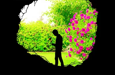 Illustration demerits - Image 1