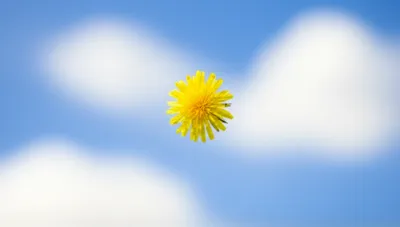 Illustration float - Image 1