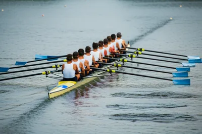 Illustration feathered - Image 1