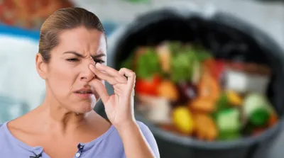 Illustration pew - Image 1