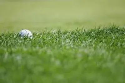 Illustration rough - Image 2