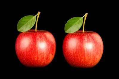 Illustration marking - Image 1