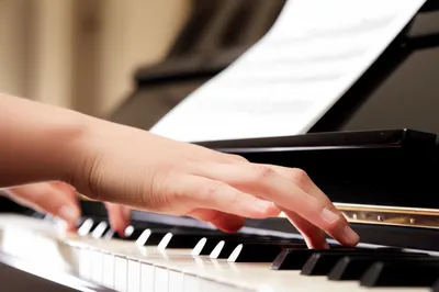 Illustration etude - Image 1