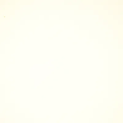 Illustration bones - Image 1