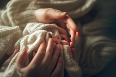 Illustration fur - Image 1