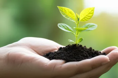 Illustration sake - Image 1