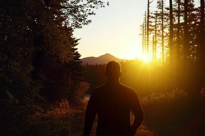 Illustration urges - Image 1