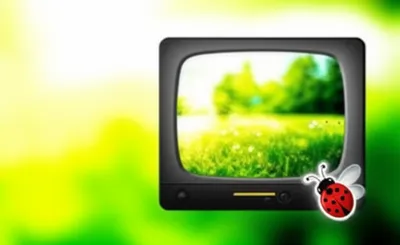 Illustration bugs - Image 1