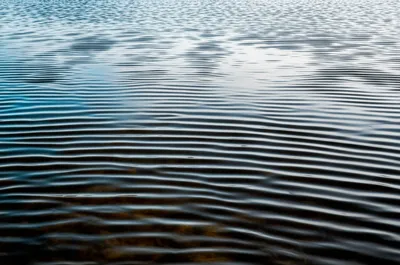 Illustration swamp - Image 1