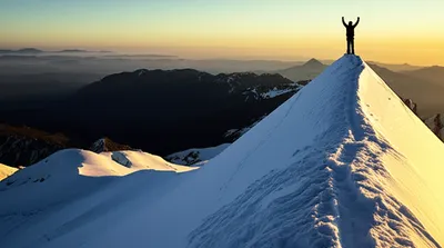 Illustration mounting - Image 1