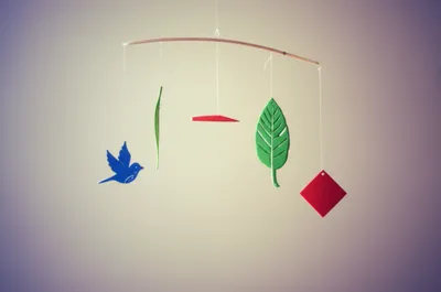 Illustration proportioned - Image 1