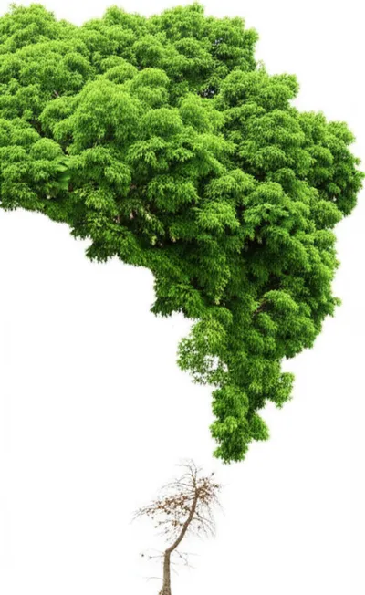 Illustration downwards - Image 1