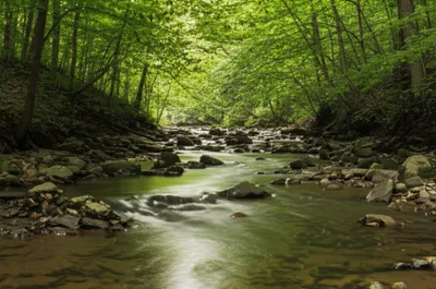 Illustration runs - Image 1