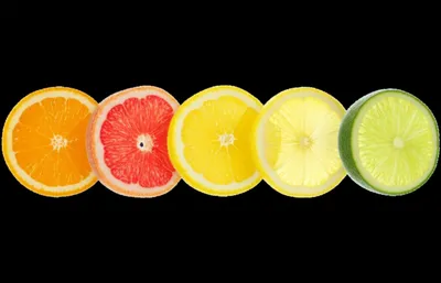 Illustration citrus - Image 1