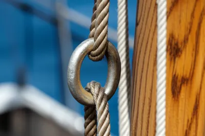 Hình ảnh minh họa thimbles - Ảnh 1