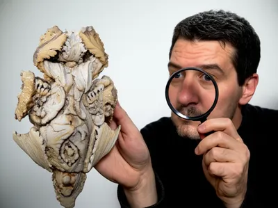 Illustration criticised - Image 1