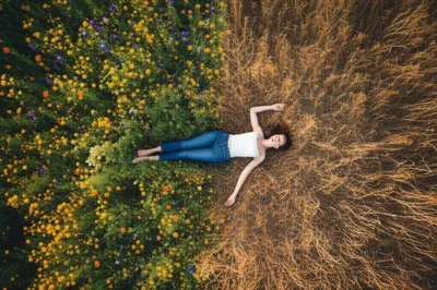 Illustration borders - Image 1