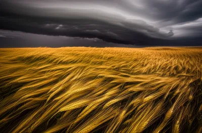 Illustration rumble - Image 1