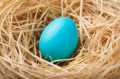 Illustration unhatched - Image 1