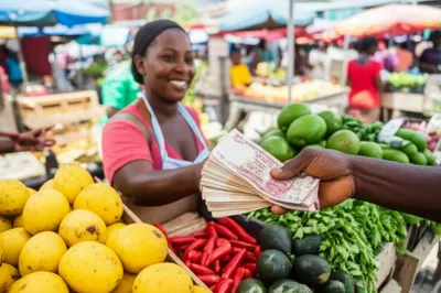 Illustration gourdes - Image 1