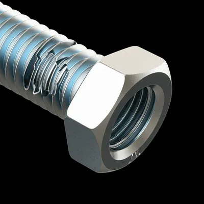 Illustration strip - Image 1