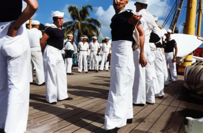 Illustration ducks - Image 1