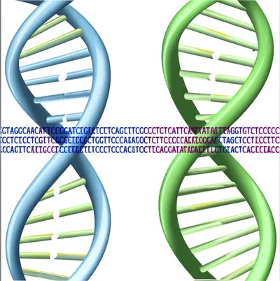 Illustration overlapped - Image 1