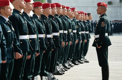 Illustration plebs - Image 1