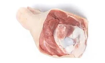 Illustration hock - Image 2