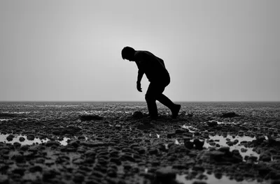 Illustration drags - Image 1