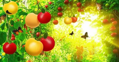 Illustration seasonable