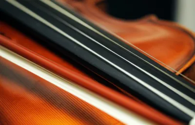 Illustration saccades - Image 1