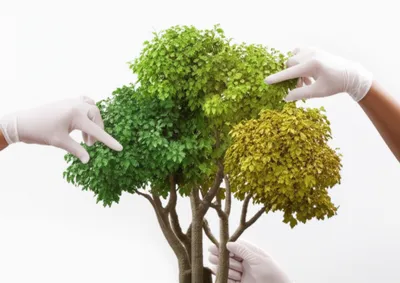 Illustration doctor - Image 1