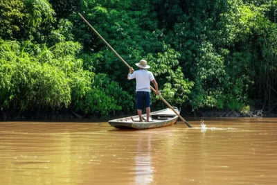 Illustration punts - Image 1