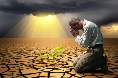 Illustration visitation - Image 1