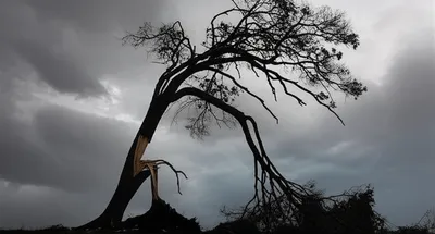 Illustration crippling - Image 1