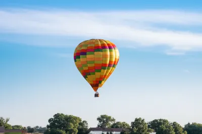 Illustration lowers - Image 1